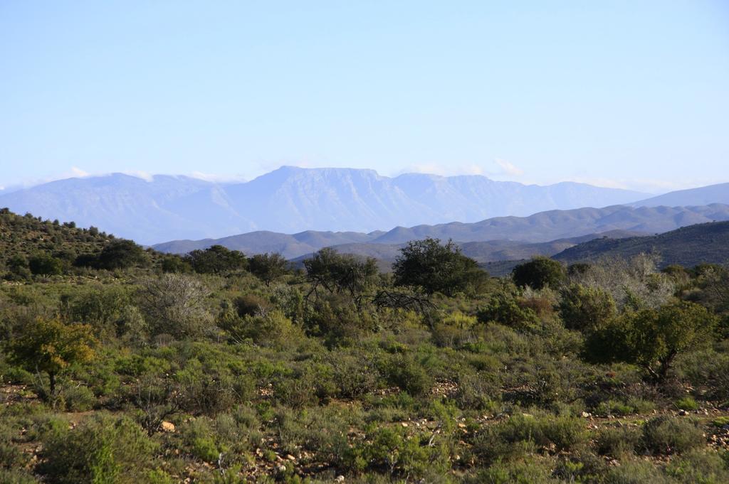 Wolverfontein Karoo Cottages 라디스미스 외부 사진
