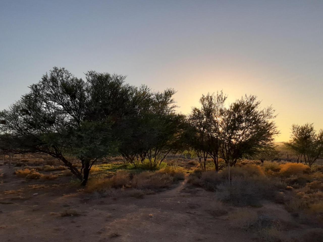 Wolverfontein Karoo Cottages 라디스미스 외부 사진